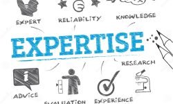 expertise-concept-chart-keyword-icons-vector-illustration-74681785 expertise-concept-chart-keyword-icons-vector-illustration-74681785